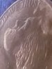 20190501_074057.jpg