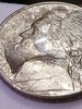 20190501_073640.jpg
