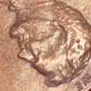 20190503_093930.jpg
