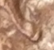upload_2019-5-3_13-4-46.png