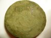 DSCN3372.JPG