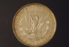 1881 morgan back.jpg