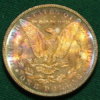 cpm_1883_TidEBowl_REV.JPG