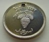 israel_1949_25-prutah_holed_obv_03.JPG