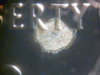 2005-S_PF_KS_SQ_OBV_LAMINATION_ERROR.jpg