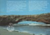 Aruba_1987_Paper-5.jpeg