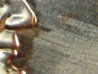 Nose crack #2.jpg