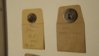 DSC00477.jpg
