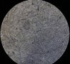 70109243-FC9E-46BD-8244-1732E2FDE10E.jpeg