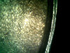 0429-2.jpg