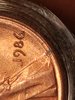 20190507_014817.jpg