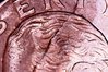 Photo on 5-13-19 at 1.08 AM #2.jpg