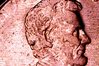 Photo on 5-19-19 at 11.46 PM.jpg