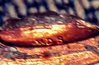 20190518_202336_Film1.jpg