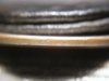 quarter plantchet-2.JPG