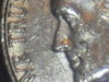 nose-c.jpg