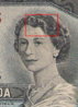 can5hairdo.jpg