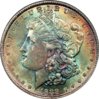 1889 PCGS MS64 - Copy.jpg