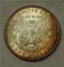 Morgan 1898 back.jpg