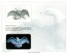 ABNC card holo5.jpg