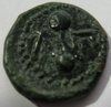 liparahex2.jpg