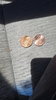 20190604_133235.jpg