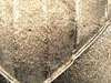 WIN_20190607_01_51_51_Pro.jpg