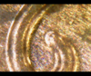Screenshot_20190611-092605~2.png