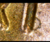 Screenshot_20190611-092819~2.png