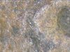 IPC_2019-06-11.14.46.12.0340.jpg