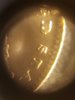 20190615_031042.jpg
