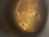 20190615_025230.jpg