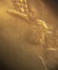 20190615_030458.jpg