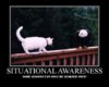 SituationalAwareness.JPG