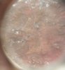 1903 Penny.jpg
