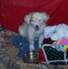 100_5531.JPG