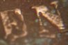 1903 Penny 5.jpg