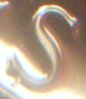 pic 11.jpg