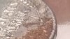 WP_20190616_001.jpg