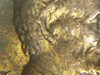 Picture_20190218120200.jpg