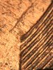 37E4121D-3133-4CCF-AFCC-46705DEAC04C.jpeg