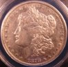 ANACS 005.JPG