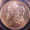 ANACS 003.JPG