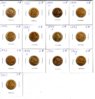 $5 gold lib collection.jpg