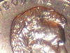 2008 Head S. 002.jpg