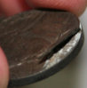 Nickel3.jpg