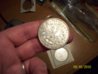 morgan dollars 008.jpg