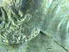 2019-07-05-112249.jpg