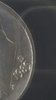 20190710_063245.jpg