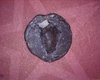 Semuncia.Acorn.Sigma.Cr14.7  a.jpg